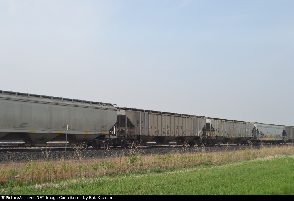 UP 79534